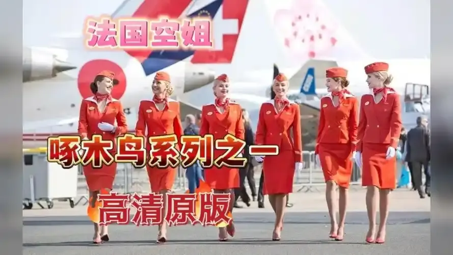 《法国空姐4》资源下载-法国空姐4免费观看完整版-超高清在线播放无卡顿